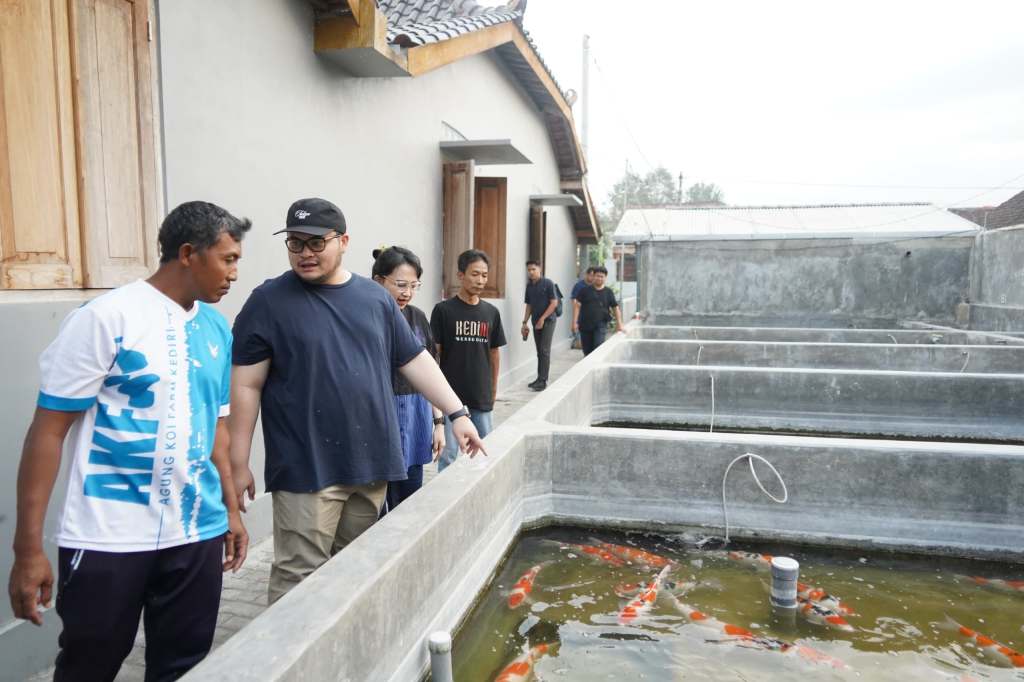 Nilai Ekonomis Capai Rp700 Milyar, Pemkab Kediri Bakal Gelar Kediri Koi Show&nbsp;12